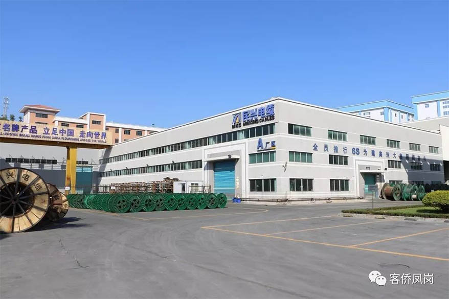 党建引航 | 坚守初心与使命——  DB彩票
接受凤岗电视台采访和报道