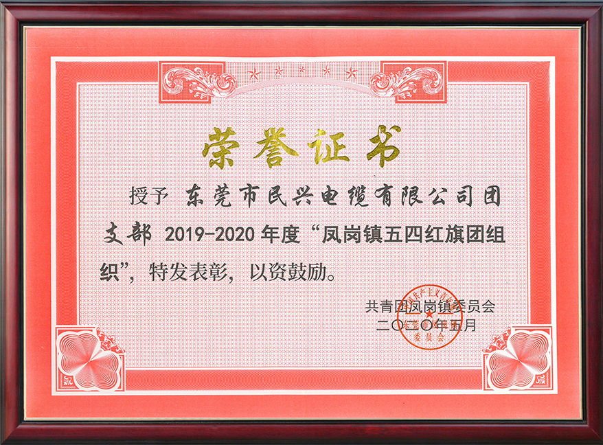  DB彩票
团支部获“凤岗镇五四红旗团组织“称号