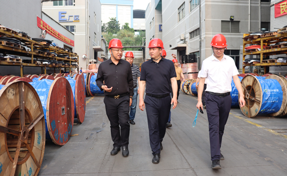 应急管理部四川消防研究所、东莞市质检中心一行莅临DB彩票
调研指导