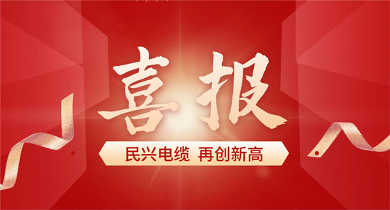 东莞唯一！DB彩票
入选广东省首席质量官质量变革创新典型案例