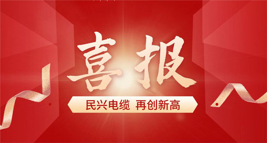 东莞DB彩票
入选广东省首席质量官质量变革创新典型案例