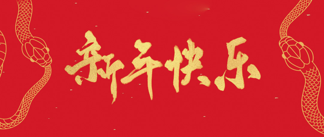 DB彩票
祝您新年快乐，巳巳如意！
